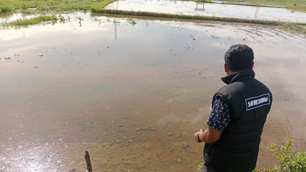 Wakil Ketua DPRD Majene Dipolisikan Terkait Dugaan Penyerobotan Lahan Sawah