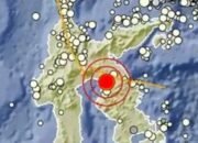 BMKG Sebut Gempa M 5,0 Luwu Timur Tak Berpotensi Tsunami