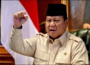 Presiden Prabowo Cabut 4 Izin Tambang Nikel di Raja Ampat, Tegas Lindungi Lingkungan