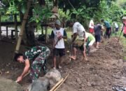 Babinsa Koramil Belopa Bersama Warga Desa Saronda Kerja Bakti, Bukti TNI Manunggal dengan Rakyat
