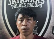 Lakukan Pelecehan Pelajar dari Lutim, Sopir asal Palopo Diringkus Polisi