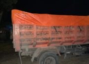Mobil Tongkang Bermuatan Solar Subsidi Digerebek, Dua Pelaku Dibekuk Unit Tipidter Polres Palopo